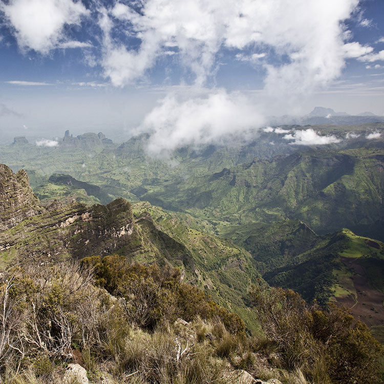 Ethiopia Highland